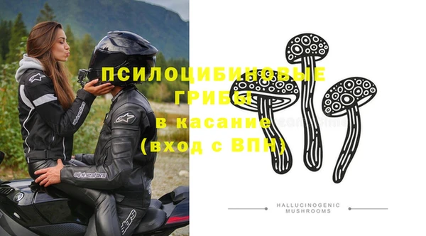 гидра Новозыбков