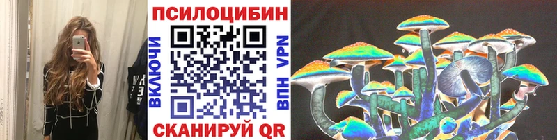 мега сайт  купить закладку  Приморск  Галлюциногенные грибы Magic Shrooms 